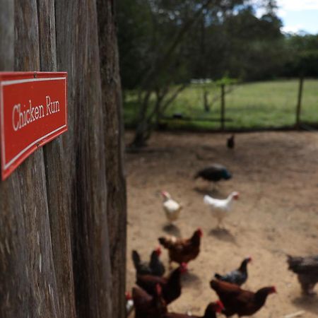 Blackwattle Farm Beerwah Exterior photo